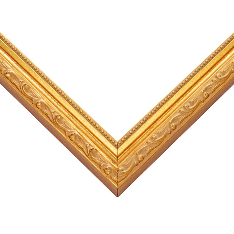 Ornate Gold with Beaded Edge Picture Frame