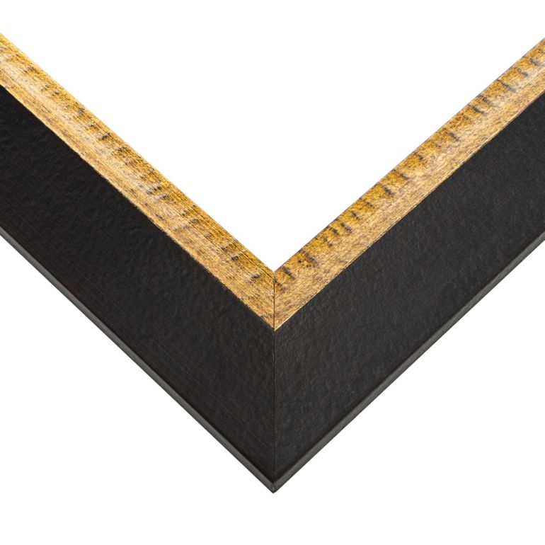 Black with Antique Gold Picture Frame