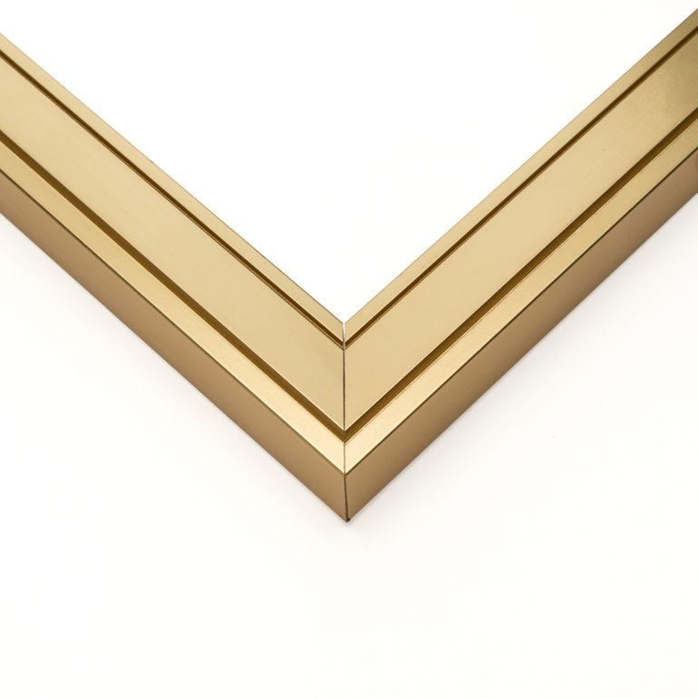 Modern Gold Picture Frame