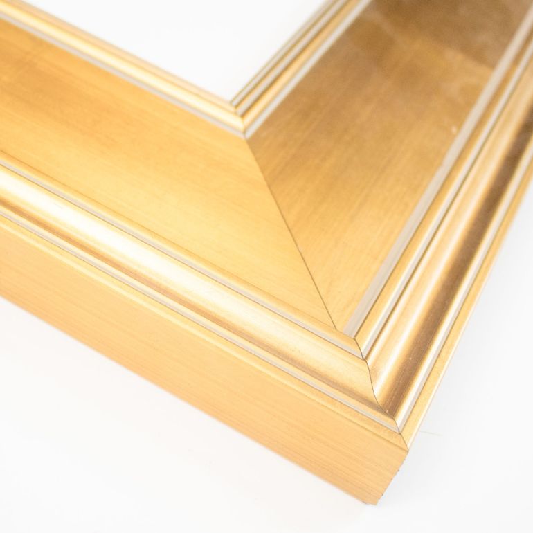 Extra Wide Gold Traditional Picture Frame