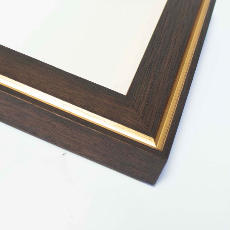Brown With Gold Trim Picture Frame