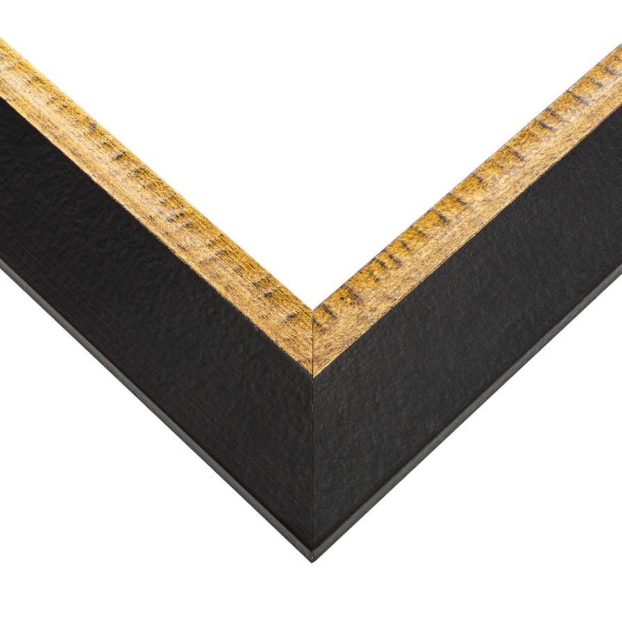 Black with Antique Gold Picture Frame